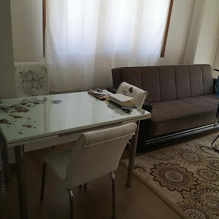Fatih'home